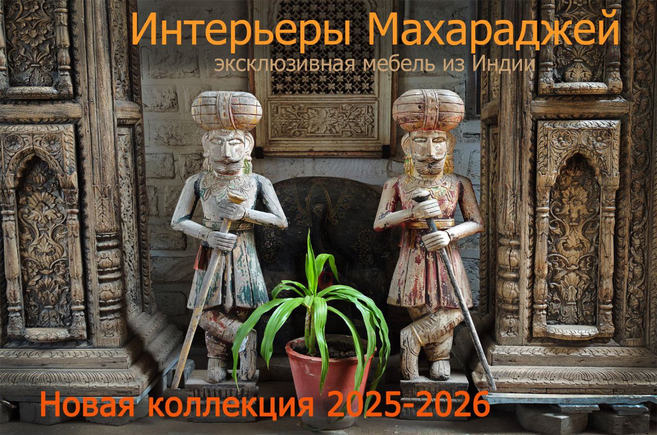 Новая коллекция 2025-2026